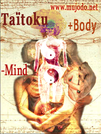 Product picture MDW8 :: Taïtoku